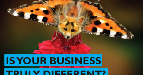 Entrepreneurs - Is your business truly different?