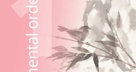 Meditations Ep.1 - mental order